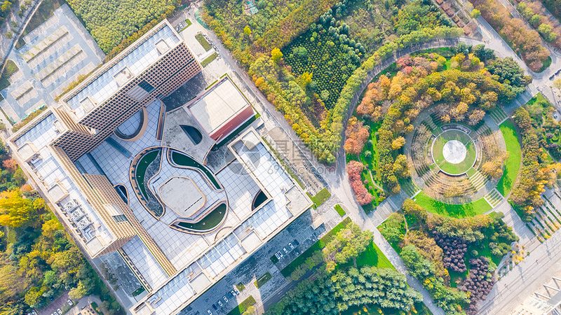 成都电子代工定制服务：揭秘其背后的技术奥秘