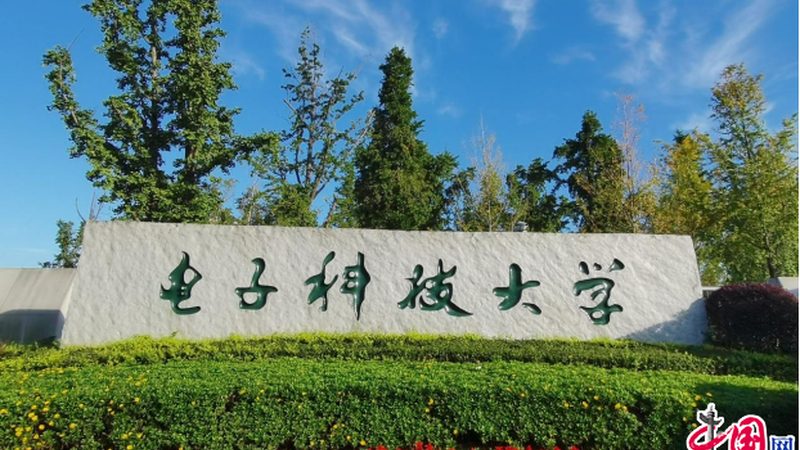 成都芯片研发公司排名：揭秘行业实力与趋势